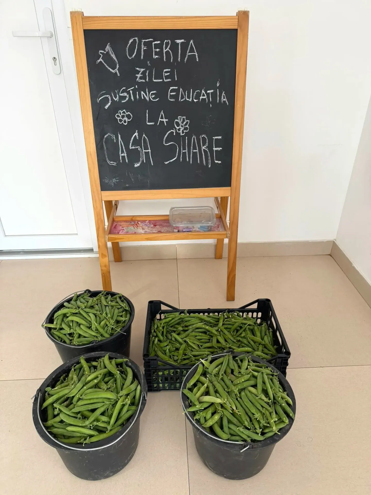 mazare pastai