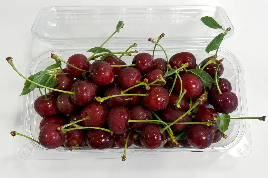 Visine soi Nana din Probota -caserola 500 gr