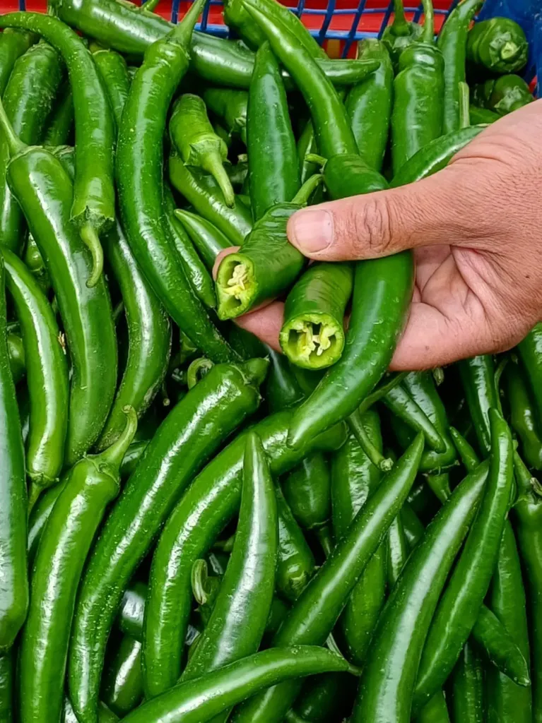 Ardei iute Legume de Probota - buc