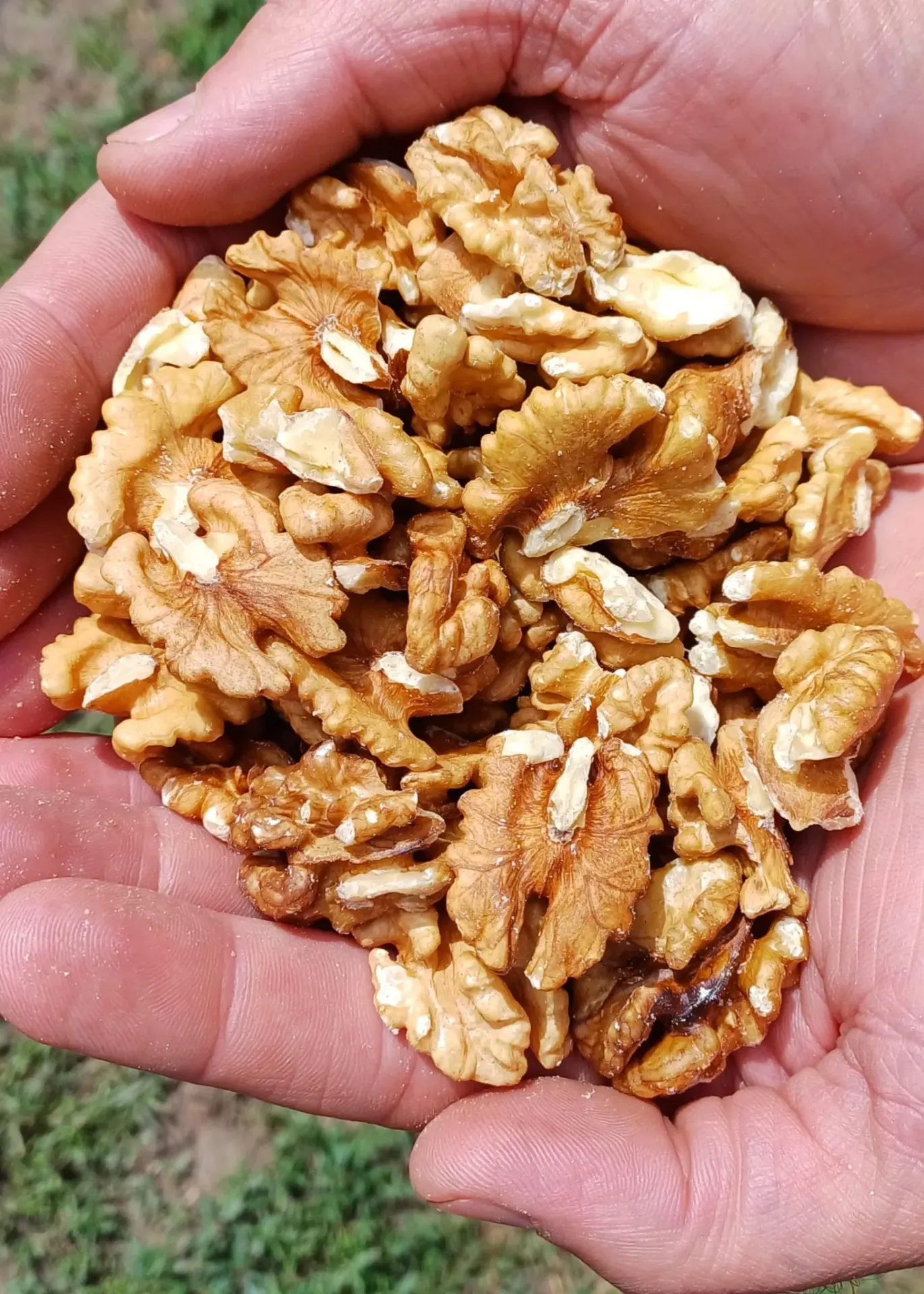 Miez de nuca  200 gr