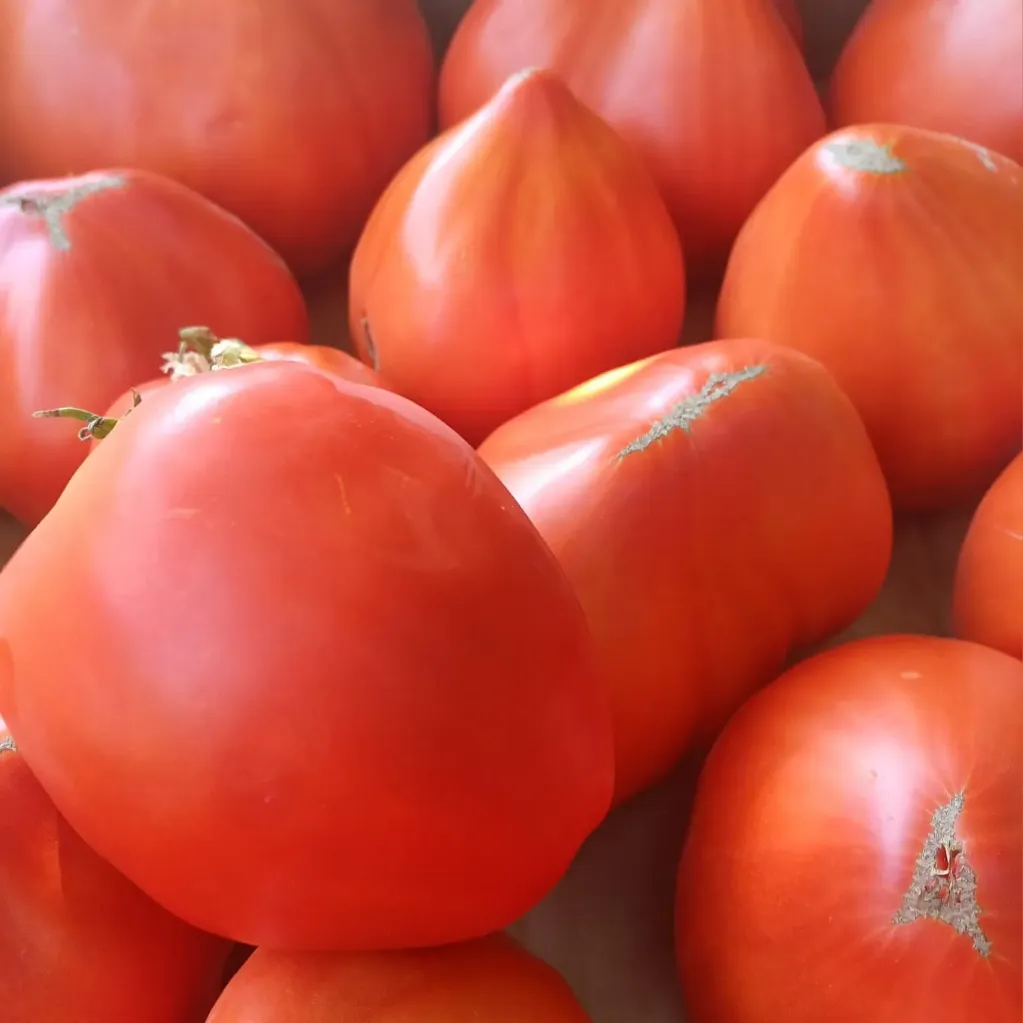 Rosii Gradinita cu legume - kg