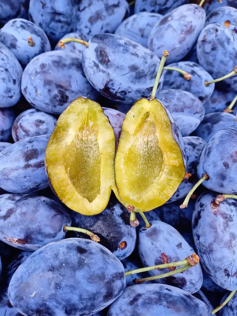Prune stanley Probota -kg