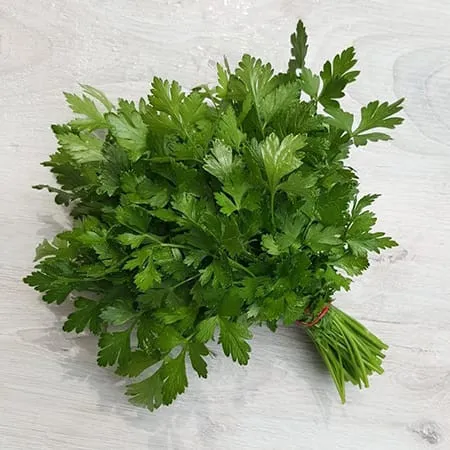 Pătrunjel legătură