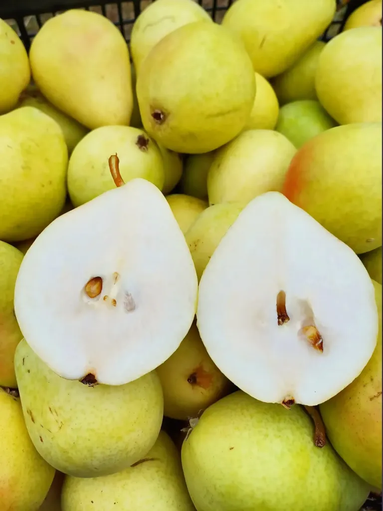 Pere de vara dulci - kg