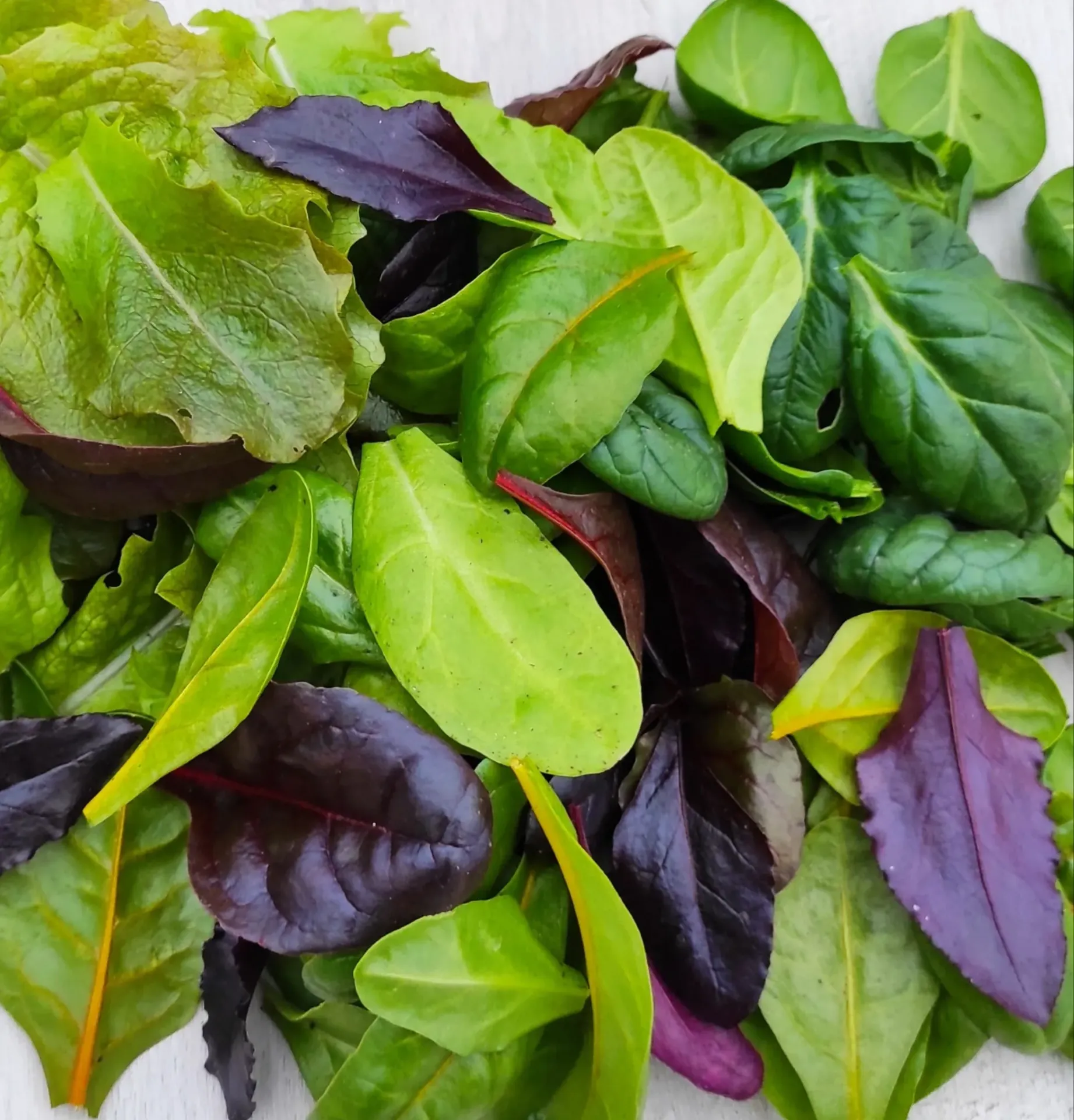 Salată baby Mix 150 gr